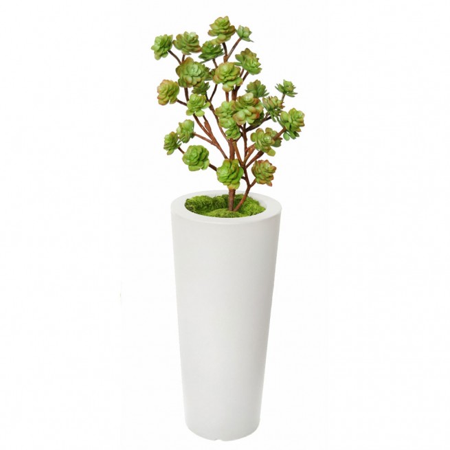 Planta semi-artificiala Ila, Echeveria Bush Multicolor - 120 cm 
